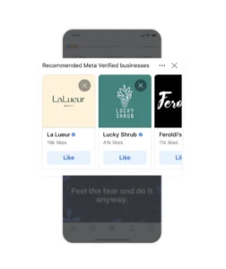 Functions of Meta Verified for businesses